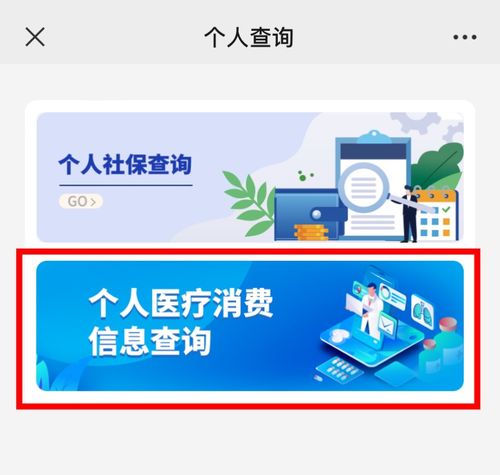 如何高效查询个人医疗消费信息 信息咨询服务的全面指南